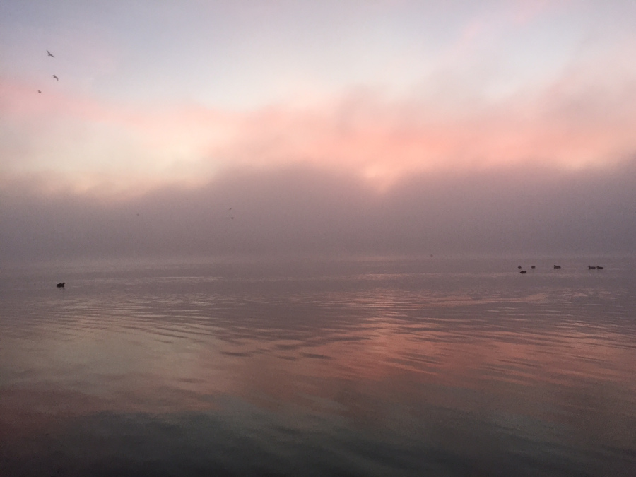 Foggy sunrise over Otay Lakes, Chula Vista Olympic Training Center.